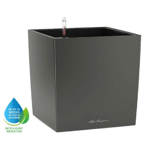 Lechuza CUBE Self Watering Planters